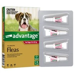 Advantage Flea Treatment For Dogs 10-25kg Red 4 Pack