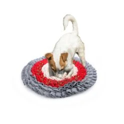 AFP All For Paws Dig It Play And Treat Round Fluffy Snuffle Mat Dog Toy