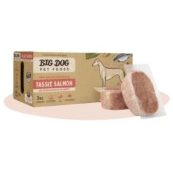 Big Dog BARF Tasmanian Salmon Raw Dog Food 3kg
