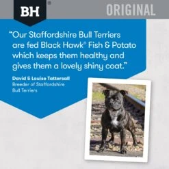 Black Hawk Original Fish And Potato Dry Dog Food 10kg -Habitat Pets Supplies Black Hawk Original Fish and Potato Dry Dog Food 10kg 5