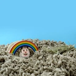 Carefresh Complete Comfort Care Natural Paper Small Pet Bedding 60 Litre -Habitat Pets Supplies Carefresh Complete Comfort Care Natural Paper Small Pet Bedding 60 Litre 4