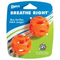 Chuckit! Chuckit Breathe Right Fetch Ball Small Dog Toy 2 Pack