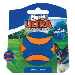 Chuckit! Chuckit Ultra Squeaker Ball Small Dog Toy
