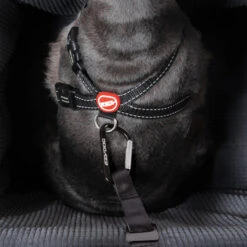 EzyDog Drive Booster Seat For Dogs -Habitat Pets Supplies EzyDog Drive Booster Seat for Dogs 10