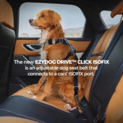 EzyDog Isofix Standard Click Seat Belt For Dogs -Habitat Pets Supplies EzyDog Isofix Standard Click Seat Belt for Dogs 3