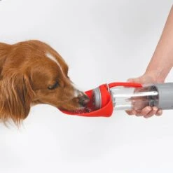 EzyDog Leaf Water Bottle Pro With Food Storage 350mL -Habitat Pets Supplies EzyDog Leaf Water Bottle Pro with Food Storage 350mL 3