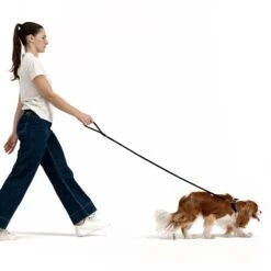 EzyDog Oxford Leather Dog Lead Blonde And Lilac Lite 48inch -Habitat Pets Supplies EzyDog Oxford Leather Dog Lead Blonde and Lilac Lite 48inch 3