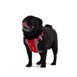 EzyDog X Link Black Dog Harness Extra Large -Habitat Pets Supplies EzyDog X Link Black Dog Harness Extra Large 6