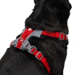 EzyDog X Link Black Dog Harness Extra Large -Habitat Pets Supplies EzyDog X Link Black Dog Harness Extra Large 8