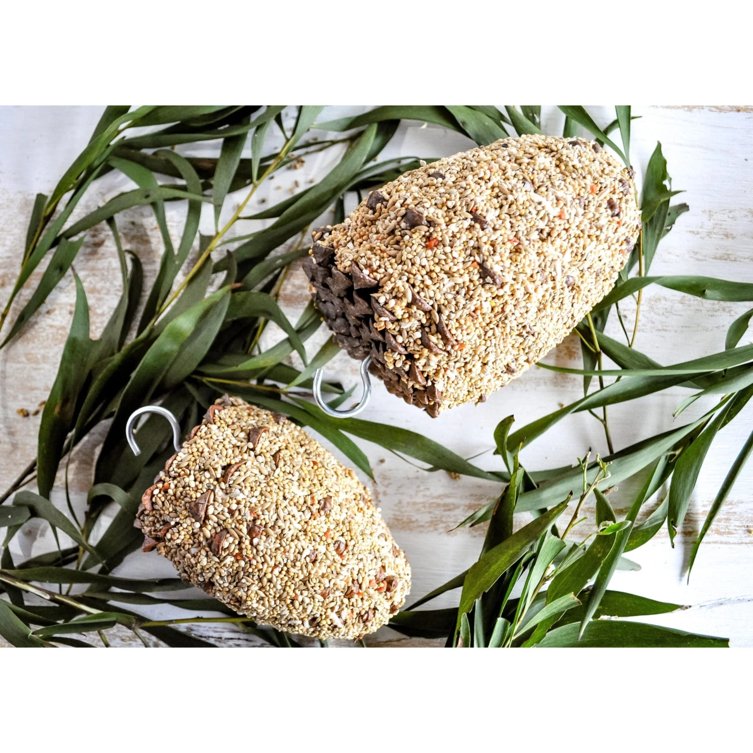 Forage Large Pine Cone Small Bird Treat 1 Forage Large Pine Cone Small Bird Treat