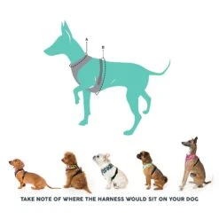 FuzzYard Dog Harness Rebel Small -Habitat Pets Supplies FuzzYard Dog Harness Rebel Small 3