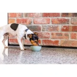 FuzzYard Life Silicone Dog Bowl Myrtle Green Medium -Habitat Pets Supplies FuzzYard Life Silicone Dog Bowl Myrtle Green Medium 4