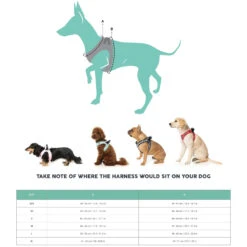 FuzzYard Life Step In Dog Harness Myrtle Green Extra Extra Small -Habitat Pets Supplies FuzzYard Life Step In Dog Harness Myrtle Green Extra Extra Small 4