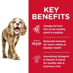 Hills Science Diet Small Paws Senior Adult 11+ Dry Dog Food 2.04kg -Habitat Pets Supplies Hills Science Diet Small Paws Senior Adult 11 Dry Dog Food 2 04kg 3