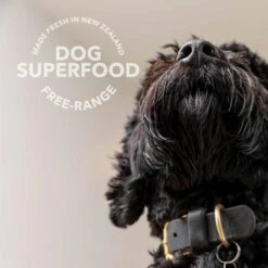 K9 Natural Beef Green Tripe Freeze Dried Dog Food Booster 75g -Habitat Pets Supplies K9 Natural Beef Green Tripe Freeze Dried Dog Food Booster 75g 4