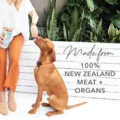 K9 Natural Beef Healthy Bites Freeze Dried Treats For Dogs 50g -Habitat Pets Supplies K9 Natural Beef Healthy Bites Freeze Dried Treats for Dogs 50g 6