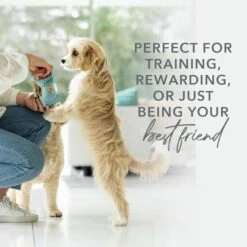 K9 Natural Beef Healthy Bites Freeze Dried Treats For Dogs 50g -Habitat Pets Supplies K9 Natural Beef Healthy Bites Freeze Dried Treats for Dogs 50g 8