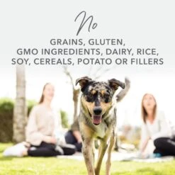 K9 Natural Lamb And King Salmon Feast Wet Dog Food 370g X 12 23 K9 Natural Lamb And King Salmon Feast Wet Dog Food 370g X 12 -Habitat Pets Supplies K9 Natural Lamb and King Salmon Feast Wet Dog Food 370g x 12 12