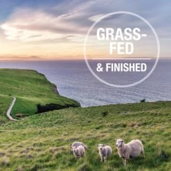 K9 Natural Lamb And King Salmon Feast Wet Dog Food 370g X 12 17 K9 Natural Lamb And King Salmon Feast Wet Dog Food 370g X 12 -Habitat Pets Supplies K9 Natural Lamb and King Salmon Feast Wet Dog Food 370g x 12 6