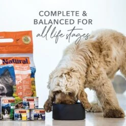 K9 Natural Lamb And King Salmon Feast Wet Dog Food 370g X 12 19 K9 Natural Lamb And King Salmon Feast Wet Dog Food 370g X 12 -Habitat Pets Supplies K9 Natural Lamb and King Salmon Feast Wet Dog Food 370g x 12 8