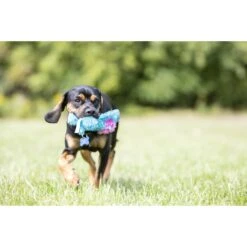 KONG Cozie King Lion Small Dog Toy -Habitat Pets Supplies KONG Cozie King Lion Small Dog Toy 3