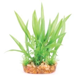 Kazoo Aquarium Artificial Plant Green With Thin Leaves