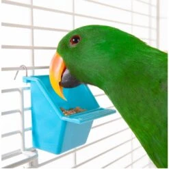 Kazoo Bird Feeder Rectangle Medium 2 Pack -Habitat Pets Supplies Kazoo Bird Feeder Rectangle Medium 2 Pack 3