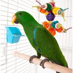 Kazoo Bird Feeder Rectangle Small 2 Pack -Habitat Pets Supplies Kazoo Bird Feeder Rectangle Small 2 Pack 4