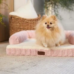 Kazoo Boudoir Large Blush Dog Bed -Habitat Pets Supplies Kazoo Boudoir Large Blush Dog Bed 3