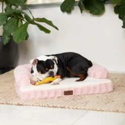 Kazoo Boudoir Large Blush Dog Bed -Habitat Pets Supplies Kazoo Boudoir Large Blush Dog Bed 4