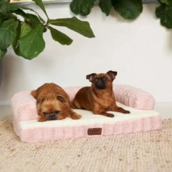 Kazoo Boudoir Medium Blush Dog Bed -Habitat Pets Supplies Kazoo Boudoir Medium Blush Dog Bed 3