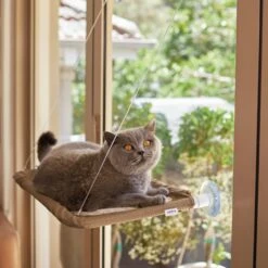 Kazoo Lookout Deluxe Window Cat Bed -Habitat Pets Supplies Kazoo Lookout Deluxe Window Cat Bed 4