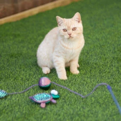 Kazoo Sea Turtle Cat Toy -Habitat Pets Supplies Kazoo Sea Turtle Cat Toy 4