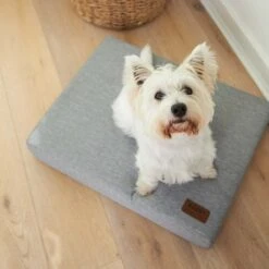 Kazoo Slumber Small Ash Dog Bed*** -Habitat Pets Supplies Kazoo Slumber Small Ash Dog Bed 4