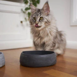 Kazoo The Better Bowl Recycled Plastic Ergonomic Dog And Cat Bowl Charcoal -Habitat Pets Supplies Kazoo The Better Bowl Recycled Plastic Ergonomic Dog and Cat Bowl Charcoal 3