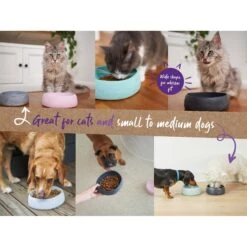 Kazoo The Better Bowl Recycled Plastic Ergonomic Dog And Cat Bowl Charcoal -Habitat Pets Supplies Kazoo The Better Bowl Recycled Plastic Ergonomic Dog and Cat Bowl Charcoal 6