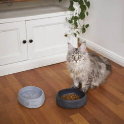 Kazoo The Better Bowl Recycled Plastic Ergonomic Dog And Cat Bowl Marble -Habitat Pets Supplies Kazoo The Better Bowl Recycled Plastic Ergonomic Dog and Cat Bowl Marble 3