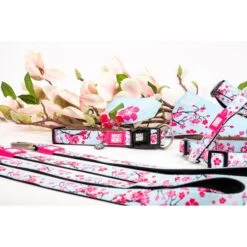 Max & Molly Cherry Bloom Smart ID Dog Collar Large -Habitat Pets Supplies Max Molly Cherry Bloom Smart ID Dog Collar Large 5