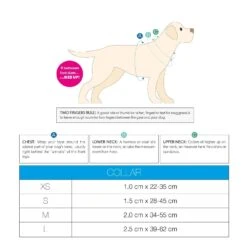 Max & Molly Cherry Bloom Smart ID Dog Collar Large -Habitat Pets Supplies Max Molly Cherry Bloom Smart ID Dog Collar Large 6