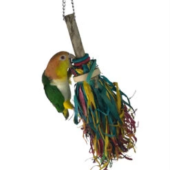 Ninos Java Broomstick Toy For Birds -Habitat Pets Supplies Ninos Java Broomstick Toy for Birds 4