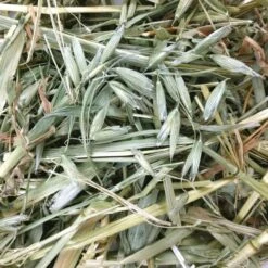 Oxbow Oat Hay 425g -Habitat Pets Supplies Oxbow Oat Hay 425g 3