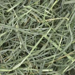 Oxbow Orchard Grass Hay 425g -Habitat Pets Supplies Oxbow Orchard Grass Hay 425g 3