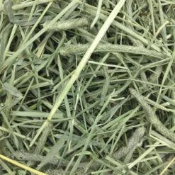 Oxbow Western Timothy Hay 425g 5 Oxbow Western Timothy Hay 425g -Habitat Pets Supplies Oxbow Western Timothy Hay 425g 3