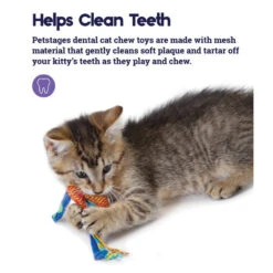 Petstages Catnip Dental Health Toy For Cats -Habitat Pets Supplies Petstages Catnip Dental Health Toy for Cats 3