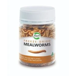 Pisces Freeze Dried Mealworms For Reptiles 40g
