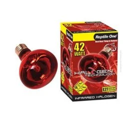 Reptile One Halogen Infrared 42W