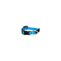 Rogz Classic Extra Small Dog Collar Turquoise (+_+)
