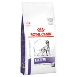 Royal Canin Veterinary Diet Dog Dental Dry Food 6kg