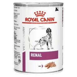 Royal Canin Veterinary Diet Dog Renal Wet Food 410g X 12