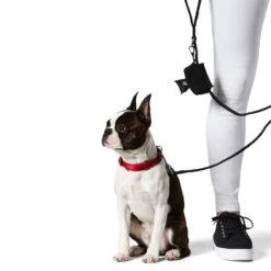 Snooza Doo Doo Good Dog Poop Bag Dispenser Navy*** -Habitat Pets Supplies Snooza Doo Doo Good Dog Poop Bag Dispenser Navy 3